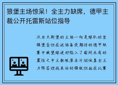 狼堡主场惊呆！全主力缺席，德甲主裁公开托雷斯站位指导